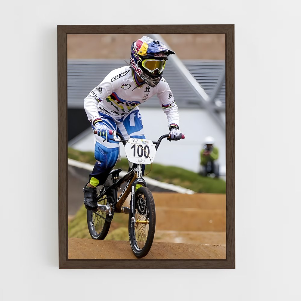 Poster BMX Downhill Adventure (vue 5)